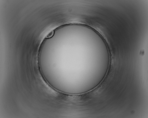 X0000111491285200907281218