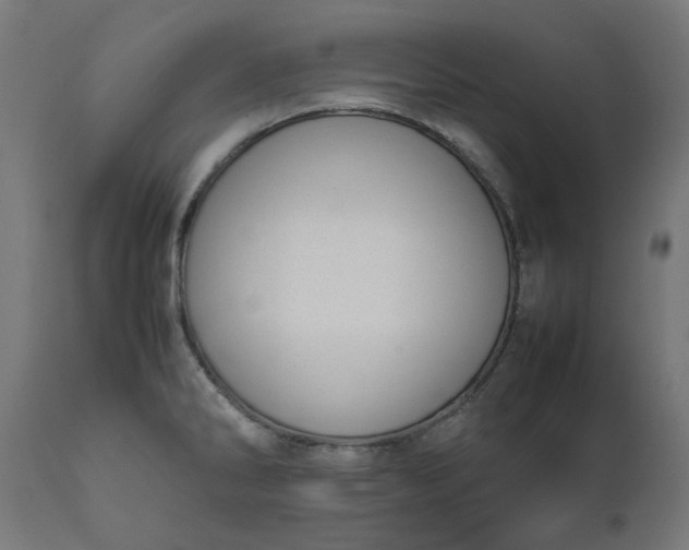 X0000111491286200907281218