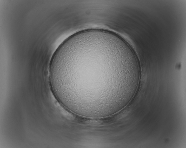 X0000111491287200907281218