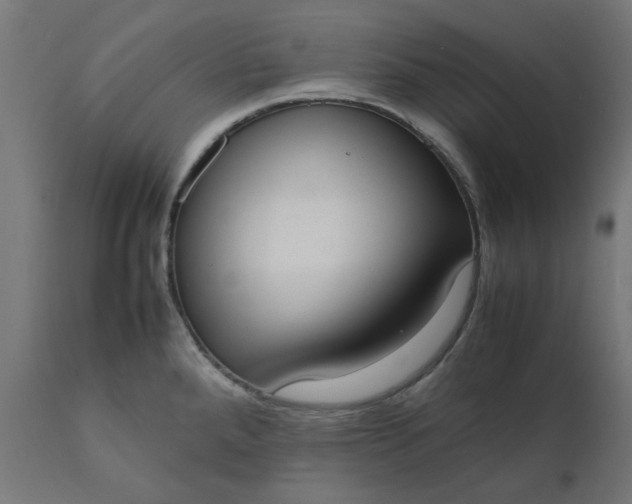 X0000111491288200907281218