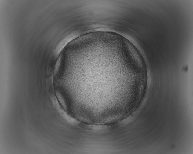 X0000111491289200907281218