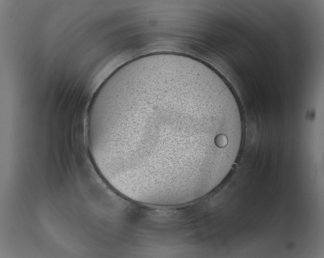 X0000111491290200907281218