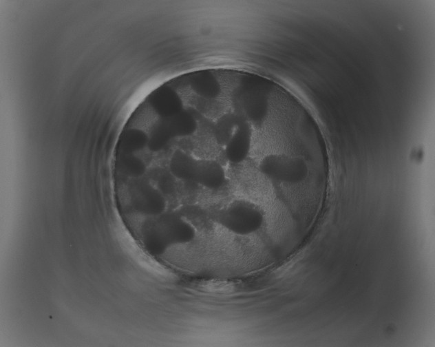 X0000111491291200907281218