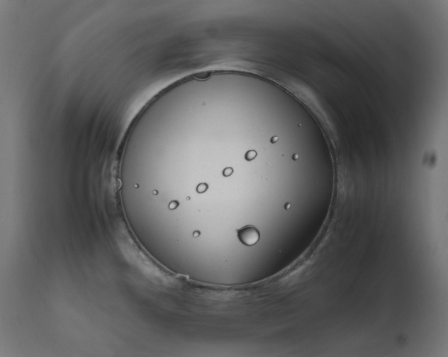 X0000111491292200907281218