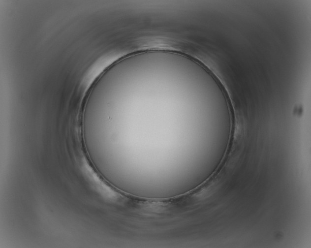 X0000111491293200907281218