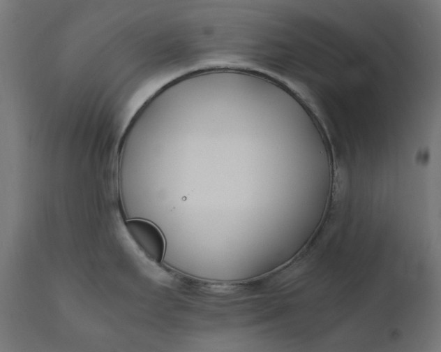 X0000111491295200907281218