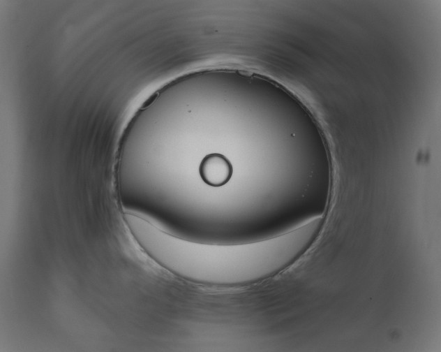 X0000111491296200907281218