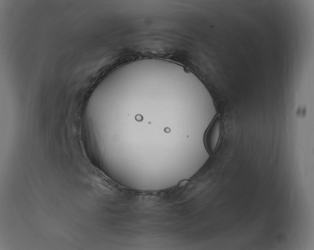 X0000111491297200907281217