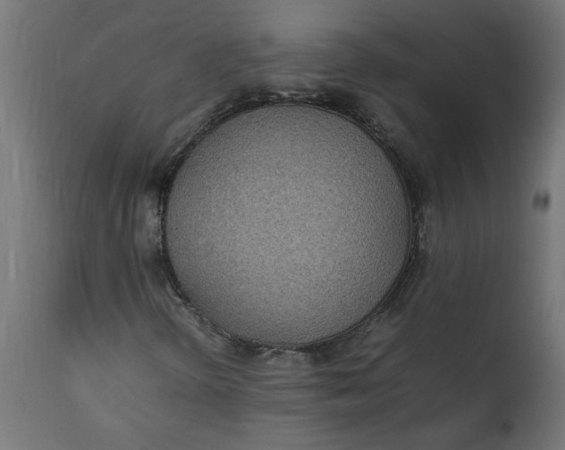 X0000111491298200907281217