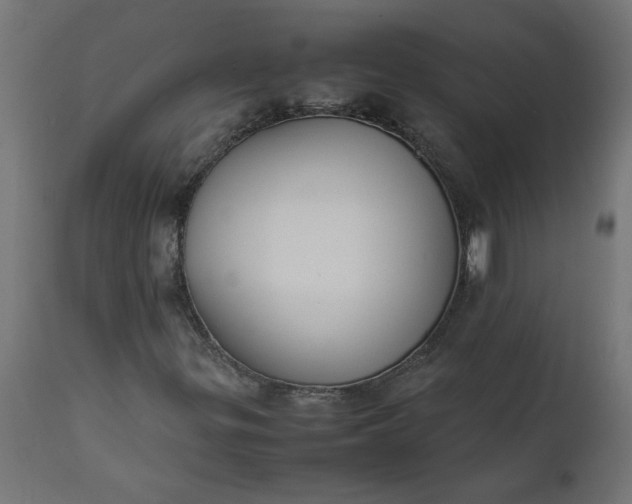 X0000111491299200907281217