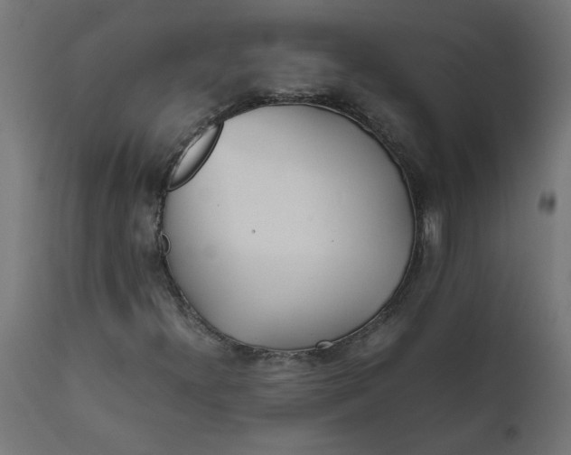 X0000111491300200907281217