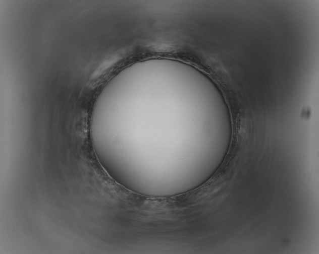 X0000111491301200907281217