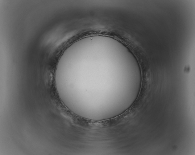 X0000111491302200907281217