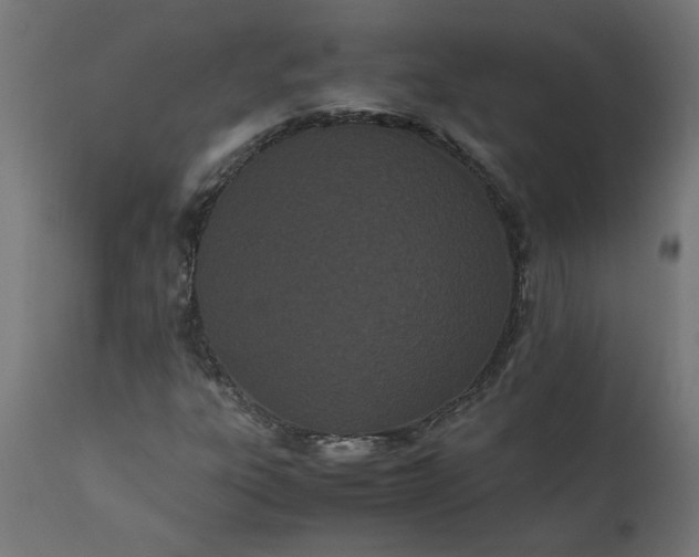 X0000111491303200907281217