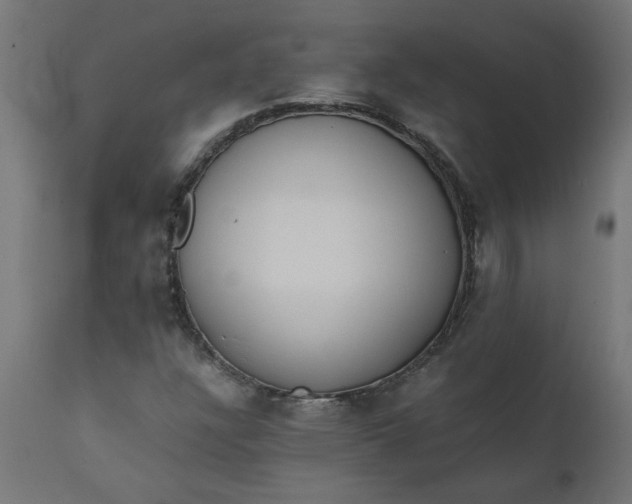 X0000111491304200907281217