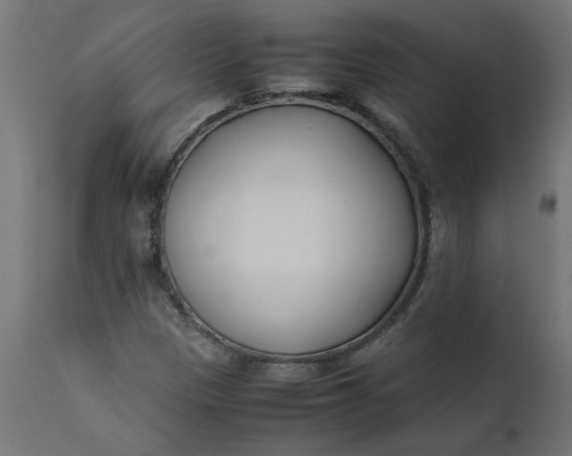 X0000111491305200907281217