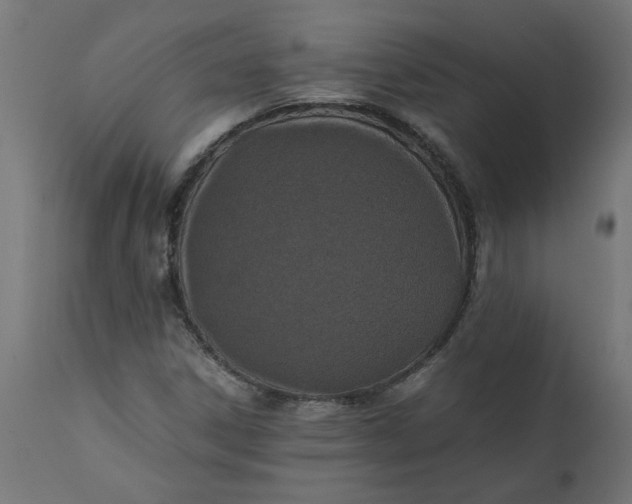 X0000111491306200907281217