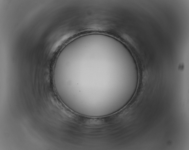 X0000111491307200907281217