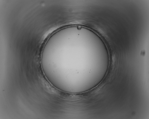 X0000111491308200907281217