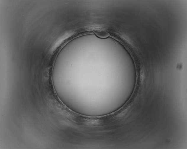 X0000111491309200907281217