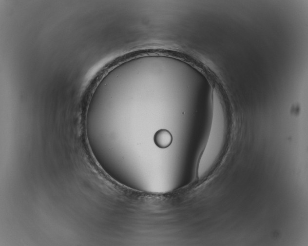 X0000111491310200907281217