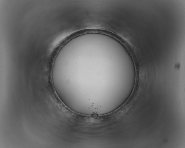 X0000111491311200907281217