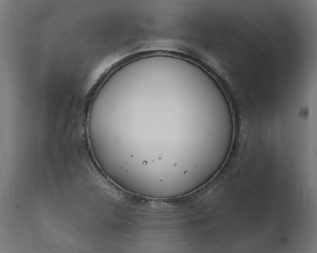 X0000111491312200907281217