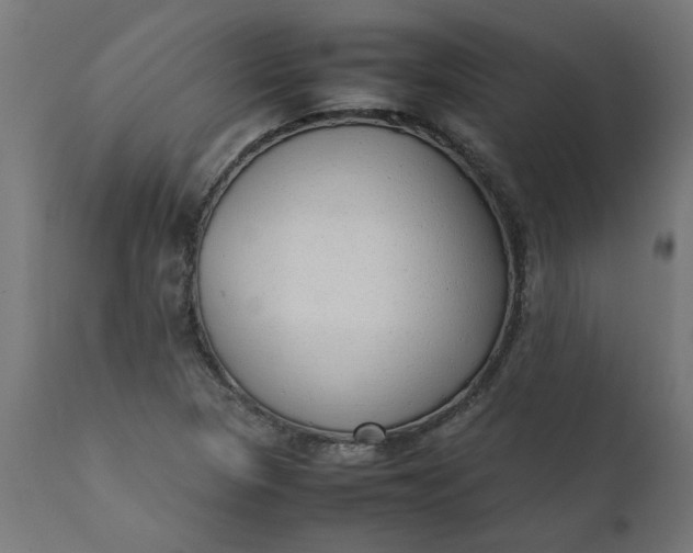 X0000111491313200907281217