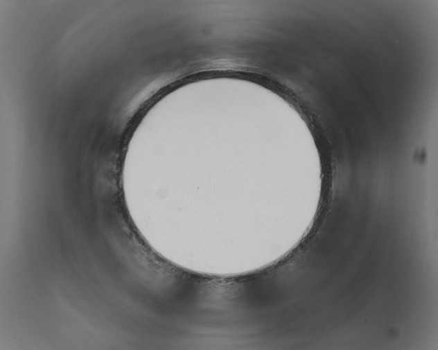 X0000111491314200907281217