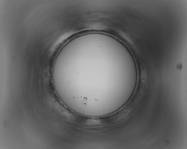 X0000111491315200907281217