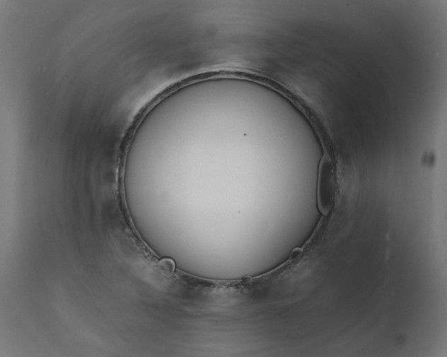 X0000111491316200907281217