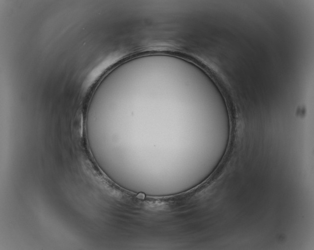 X0000111491317200907281217