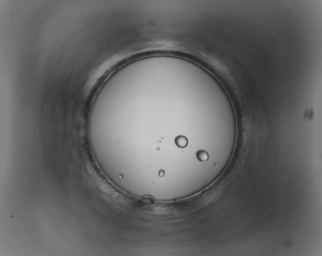 X0000111491318200907281217