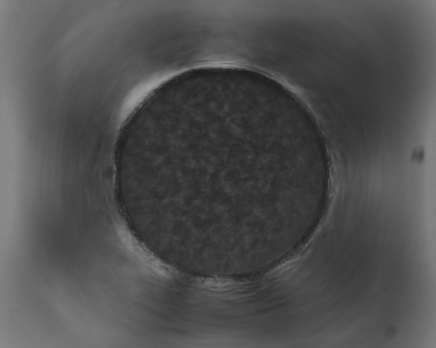 X0000111491319200907281217