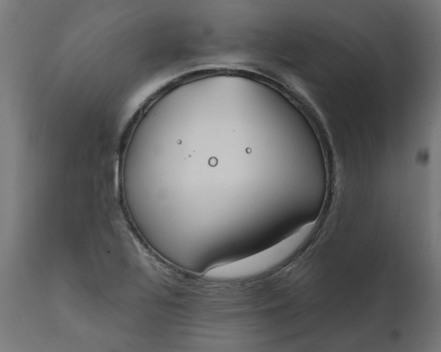 X0000111491320200907281217