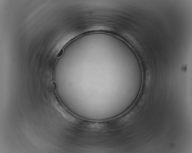 X0000111491321200907281217