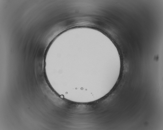 X0000111491322200907281217