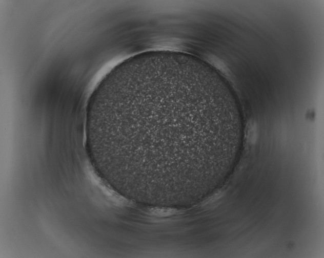 X0000111491323200907281217