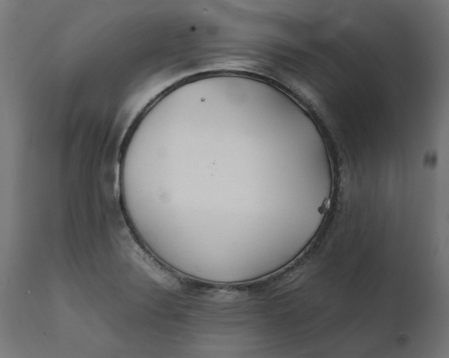 X0000111491324200907281217