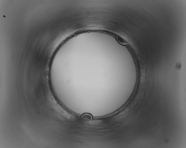 X0000111491325200907281217