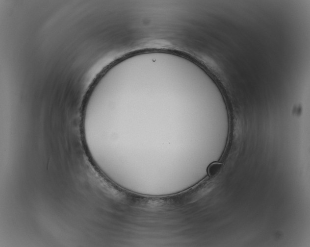 X0000111491326200907281217