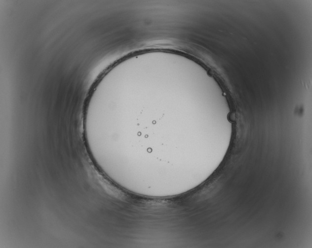 X0000111491328200907281217