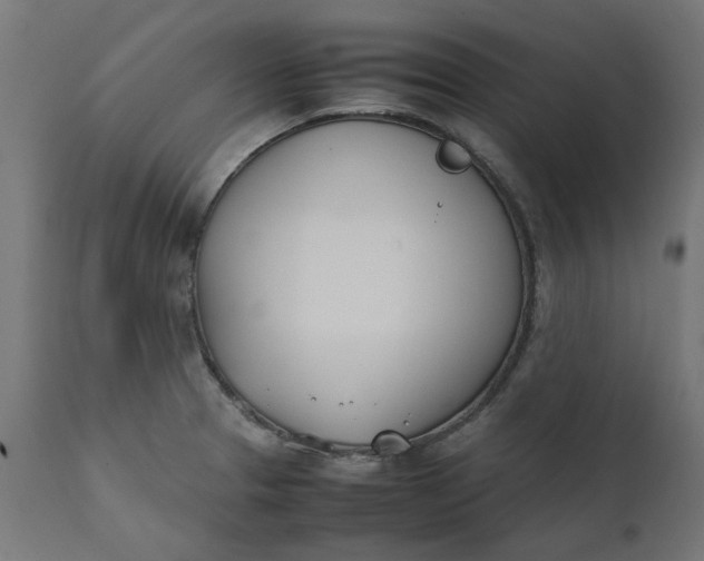 X0000111491329200907281217