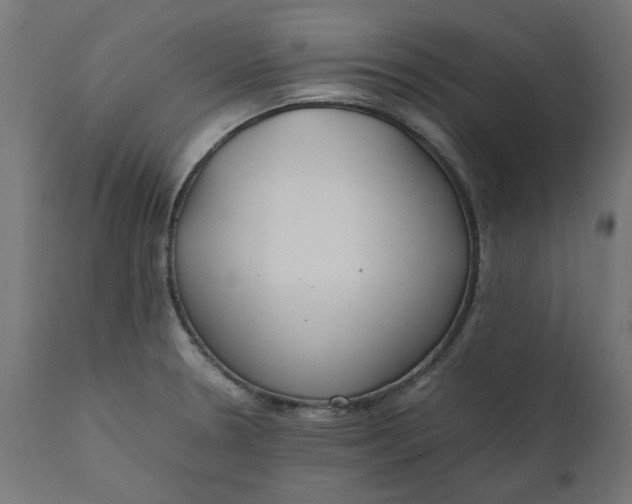 X0000111491330200907281217