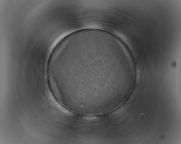 X0000111491331200907281217