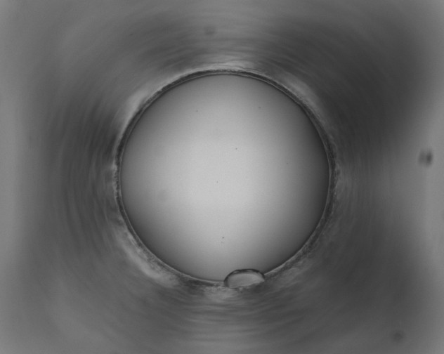 X0000111491332200907281217