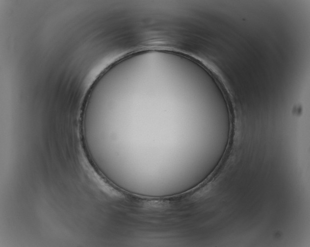 X0000111491333200907281217