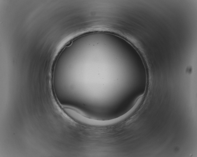 X0000111491334200907281217