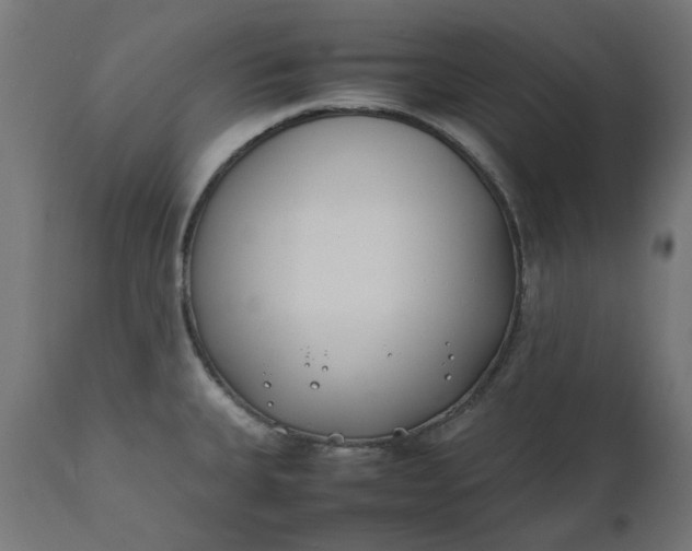 X0000111491335200907281218