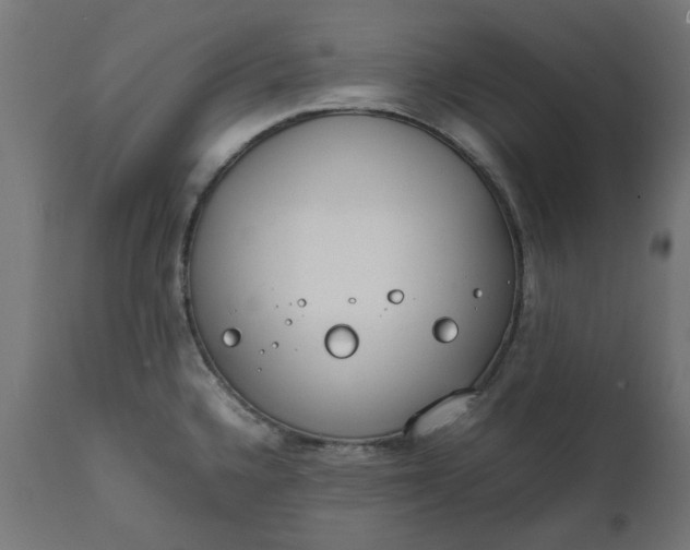 X0000111491336200907281218